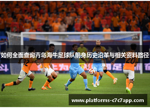 如何全面查询青岛海牛足球队前身历史沿革与相关资料路径