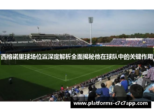 西格诺里球场位置深度解析全面揭秘他在球队中的关键作用