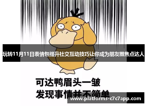 玩转11月11日表情包提升社交互动技巧让你成为朋友圈焦点达人