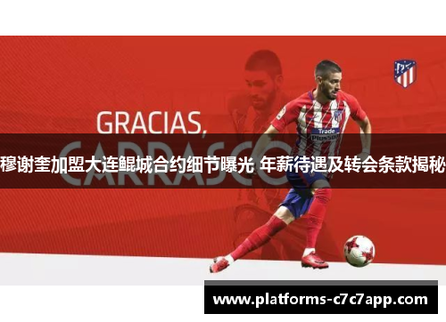 穆谢奎加盟大连鲲城合约细节曝光 年薪待遇及转会条款揭秘